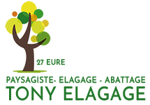 Tony Elagage 27
